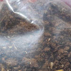 Kaakarakaaya ( Bitter gourd) 1/4 kg